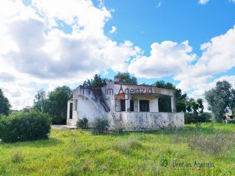 For sale is an interesting villa with sea view to be renovated in the countryside of Carovigno, the City of Nzegna, immersed in nature and located only 700 metres from the hamlet of Serranova and 3 km from the Torre Guaceto nature reserve (blue flag)...