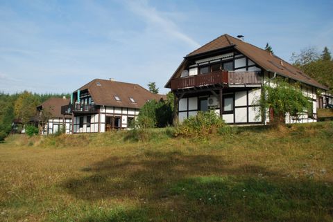 Le case si trovano nel bellissimo Holidaypark Frankenau, a solo 1 km dal piccolo centro Frankenau. Il parco è costituito da una grande quantità di case vacanza, situato in luoghi belli, sittinga po 'più alto, con una splendida vista sul parco e la va...