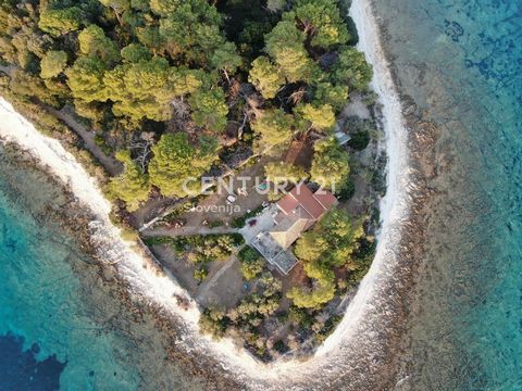 Its name Silba means forest, but in reality the area boasts many conifers, which makes the landscape especially colorful in addition to the white sand and sand and blue of the Adriatic. The uniqueness of this island is the complete absence of not onl...