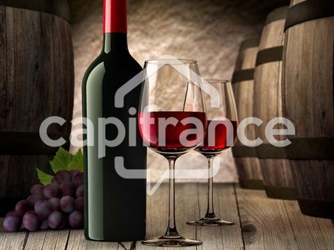 Dpt Essonne (91), à vendre SAVIGNY SUR ORGE Cave à vin