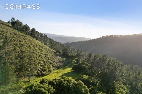 Set high above the coast within the exclusive Teháma community envisioned by Clint Eastwood, The Grove is a 10.01-acre property that offers the sensibility of a secluded mountain retreat. Shaded by Monterey pines and coast live oaks, The Grove sits a...