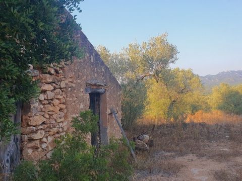 House located 10 minutes from the highway Its a very quiet place The land is 38506 m2 currently without crops It doesnt have electricity The water is not connected but it can be connected because the water from the irrigation community passes through...