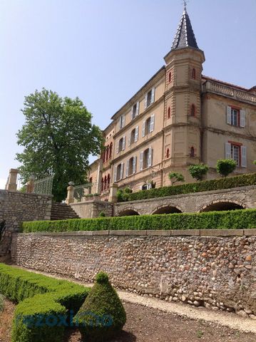Superbe chateau de village Valensole