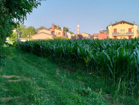 Excellent Plot of land for sale in Silvelle di Trebaseleghe Padua Veneto Italy Esales Property ID: es5553772 Property Location Silvelle di Trebaseleghe 35010 Italy Property Details Here we present an excellent plot of land in one of the most sought-a...