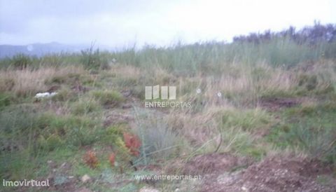 Lot for sale with an area of 817 m2 ready to build, located in a quiet area with good sun exposure and good access. Located 10 minutes from Baião Village and 15 minutes from the center of Marco de Canaveses. Cricket, Baião. Ref.:MC07651 FEATURES: Lan...