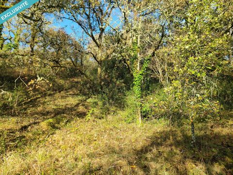 Rare property - Beautiful plot located close to all shops and amenities, within walking distance. Fully buildable wooded plot. Networks bordering the plot. Unbounded.