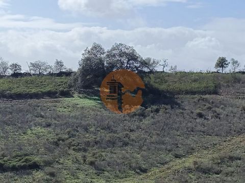 Rustic land with 23840m², in Balurcos, Alcoutim, Algarve. With water and electricity very close. Flat terrain. Next to electricity. Possibility of building a warehouse to support agriculture. Just 10 minutes from the village of Alcoutim. About 35 min...