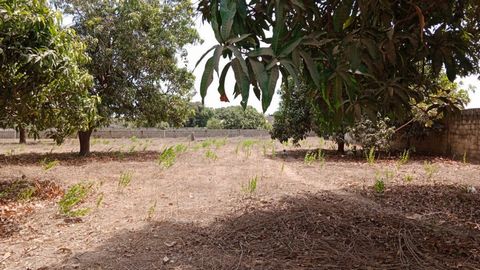 Sanyang - Plot 400 m2. ( 20 mt. X 20 mt. X 20 mt. X 20 mt. ) Only 8.000 mt to the tropical beach called Paradise Beach. Outside of the TDA area. We have the possibility to build tailor-made projects for our customers according to their wishes and ava...