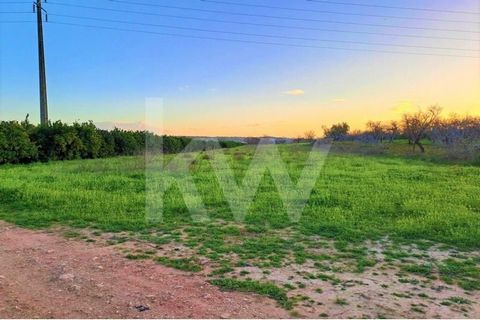 Terreno Rústico com 6640 m2 sito em Terras Brancas, Algoz com vista panorâmica para o campo. Terreno plano de fácil acesso e com ótima exposição solar em zona de pomares. Distâncias: - 2 km do Algoz, serviços, escolas e zonas comerciais - 17 km de Si...