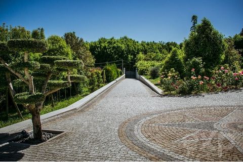 Dans la ville emblématique de Lamego, nous trouvons cette propriété distinctive répartie sur les 3,3 hectares de terrain qui la composent, alignée en symbiose avec la pente de la Mata do Santuário de Nossa Senhora dos Remédios. À Quinta de Arneirós, ...