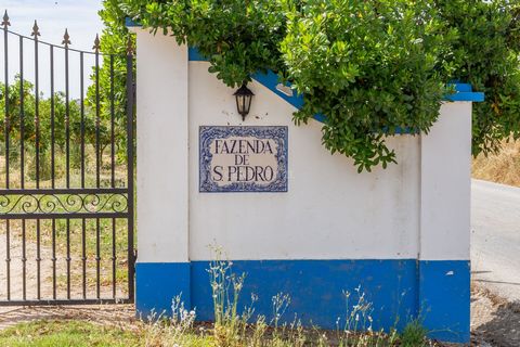 Discover this charming 1-hectare farm located in the picturesque Freixo region of Évora. Perfect for those looking for the tranquility of the countryside, without giving up the proximity to modern amenities. Property Features: Size: 1 hectare Locatio...