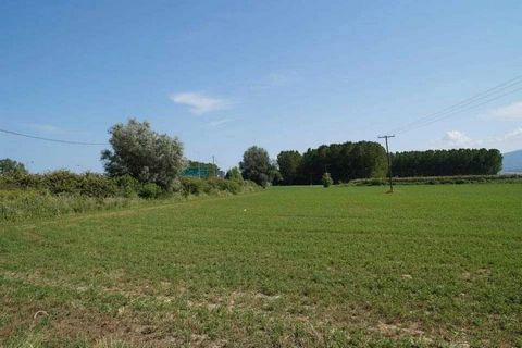 En Litochoro (Municipio de Dion Olympus), área de 43500 m², plana, cuadrada, con un frente de 200 m. en la Carretera Nacional Atenas-Tesalónica, a 431 km y a una distancia de 500 m del cruce de Nea Éfeso, con acceso directo desde ambos arroyos de la ...