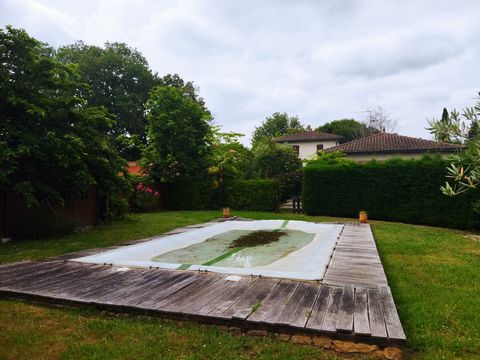 photo no. 12