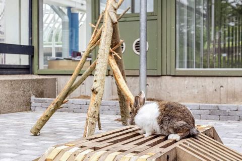 Vigsø Holiday Centre – morze aktywności w wyjątkowym otoczeniu Pobyt w malowniczym otoczeniu z bezpośrednim dostępem do wielu atrakcji: w tym parku wodnego, tenisa i motocrossu. Oglądaj filmy na YouTube. O Vigsø Holiday Centre Vigsø Holiday Centre zn...