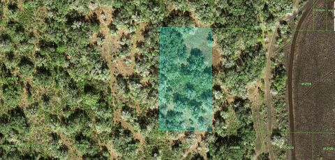 A VACANT LOT IN FROSTPROOF IN POLK COUNTY!!!