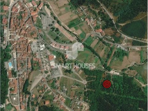 Terreno coltivato e vigneto con ulivi e alberi da frutto a Vale Cid. Situato ad Arganil, a 45 minuti da Coimbra; 1h35 dall'aeroporto della città di Porto. Escluso dalla SCE, ai sensi del comma f) dell'articolo 4, del decreto-legge n. 118/2013 del 20 ...