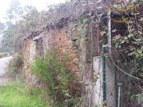 Gecultiveerd land met ongeveer 18000 m2 bestaande uit 80 cordon wijnstokken, 18 olijfbomen, 13 fruitbomen, dennenbos en weilanden.