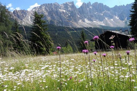 Vakantie midden in een indrukwekkende bergwereld tussen Rosengarten en Latemar!