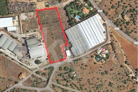 Terrain rustique de 12 850 m2 à Silves avec possibilité de construction d'installations industrielles. Terrain idéal pour ceux qui cherchent à investir dans un commerce ou à développer leur entreprise. Caractéristiques :- Accessibilité (à 5 minutes d...