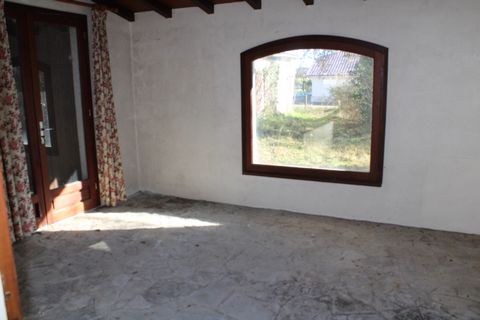 photo no. 10
