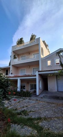 EXCLUSIVE OPPORTUNITY Exceptional building for sale in Kalamos, directly by the sea. Featuring 600 sq.m. of space, with a 40-meter sea-facing façade and 30-meter width. The property includes 14 residential units (35-50 sq.m. each), some completed and...