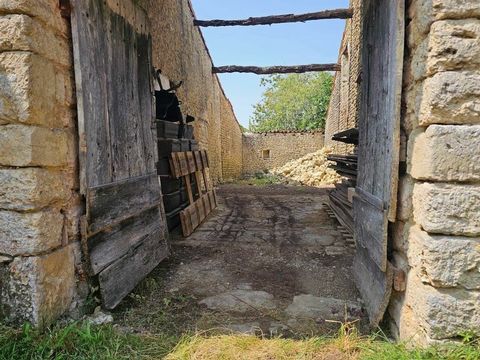 photo no. 1