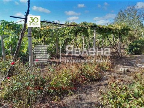 Maison spacieuse avec une grande cour dans le village de Belgun, municipalité de Kavarna, district de Varna. Dobrich. Il se trouve à 20 km de la mer, à 18 km de la ville de Dobrch et à 72 km de la ville de Varna. Terrain de 3090 m², clôturé, entreten...