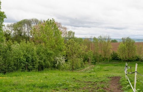 To przyjemne mieszkanie znajduje się od strony ogrodu w domu w Ubachsberg. Posiada własny odkryty taras ze wspaniałym widokiem na pagórkowaty krajobraz Limburgii. Zakwaterowanie jest idealne dla rodzin.Bernardushoeve współpracuje z Rogerem Fluckenem....