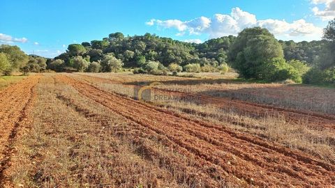 Terrain rustique et plat, situé sur le site de Charrua, à côté de l'embouchure de Ribeira do Gavião et Ribeira do Arade, sur l'une des rives de cette rivière. La limite du terrain, à l'est, se trouve à l'intérieur de cette rivière, là où commence le ...