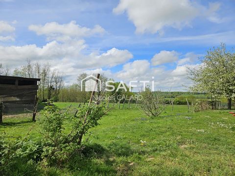 photo no. 6