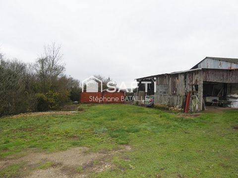 photo no. 11