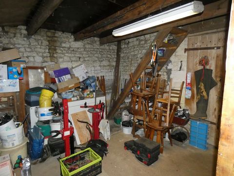 photo no. 12