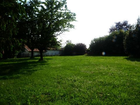 photo no. 8