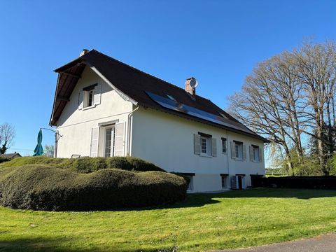 photo no. 15