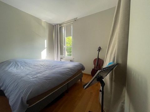 photo no. 9