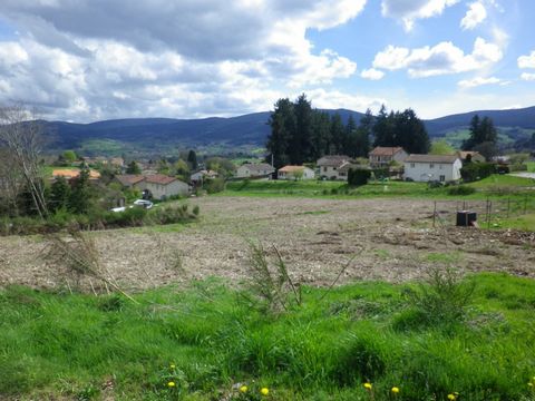 photo no. 1
