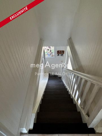 photo no. 11
