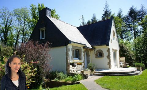 photo no. 13