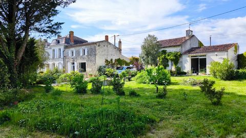 photo no. 10