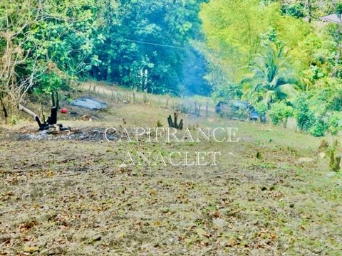 ? À Vendre Terrain Constructible à Rivière-Pilote ? RIVIERE PILOTE (972)
