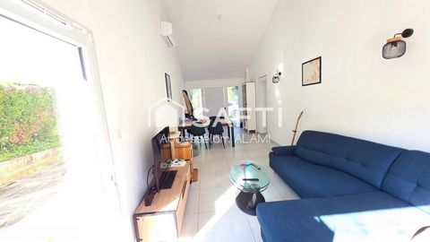 photo no. 3