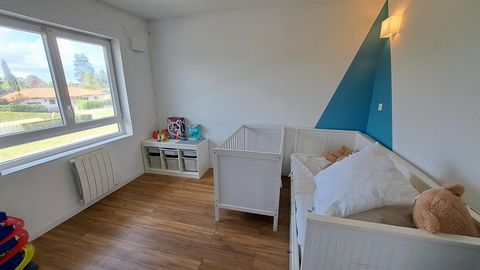 photo no. 15