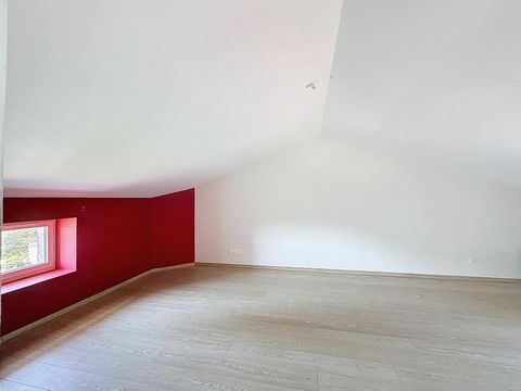 photo no. 4