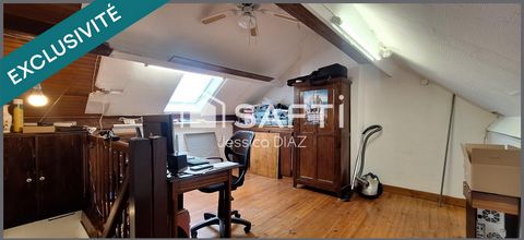 photo no. 11