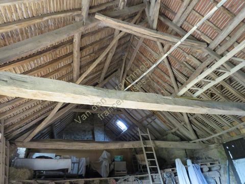 photo no. 21