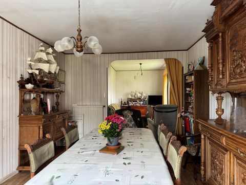 photo no. 4