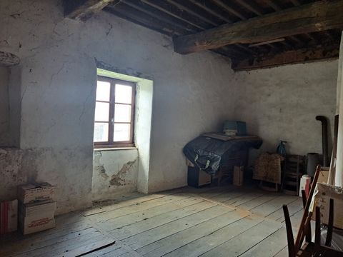 photo no. 16