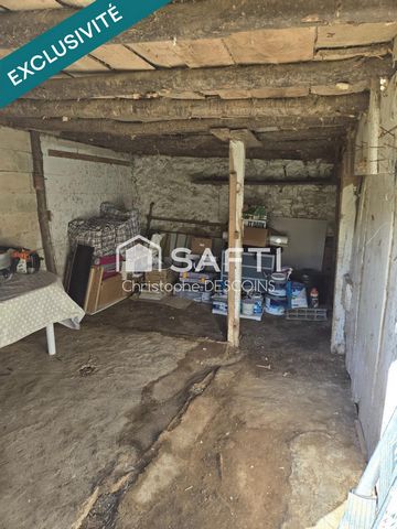 photo no. 14