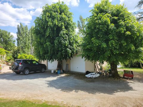 photo no. 13