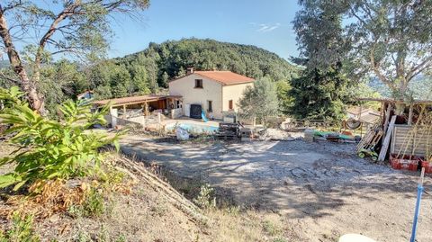 MAS avec gite et piscine